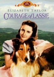 DOWNLOAD / ASSISTIR COURAGE OF LASSIE - A CORAGEM DE LASSIE - 1946
