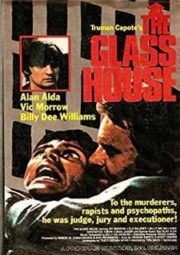 DOWNLOAD / ASSISTIR THE GLASS HOUSE - O SISTEMA - 1972